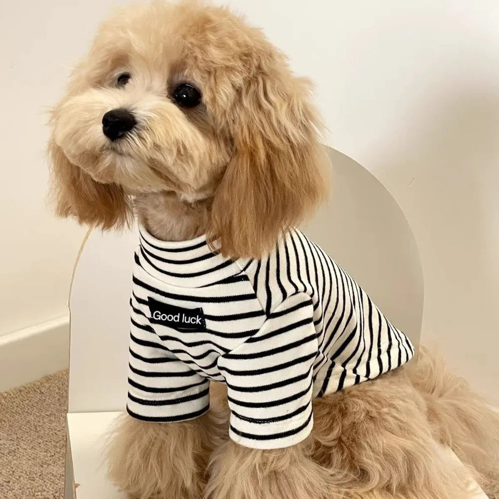 Parisian Style for Modern Pets