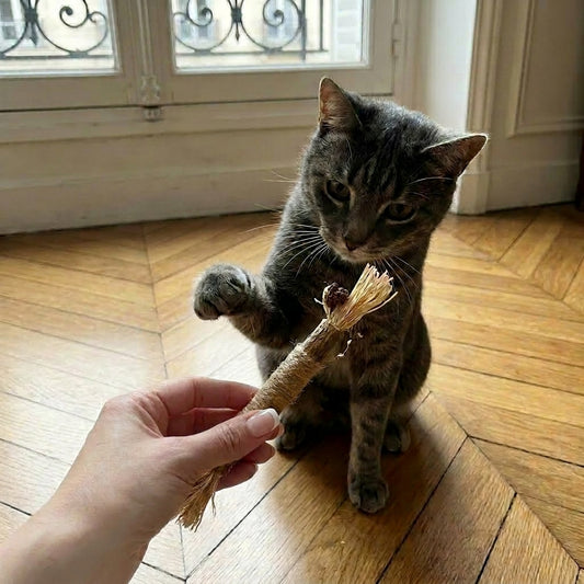 Montmartre Chew Stick - Pure & Natural Play