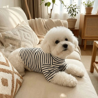 Parisian Style for Modern Pets