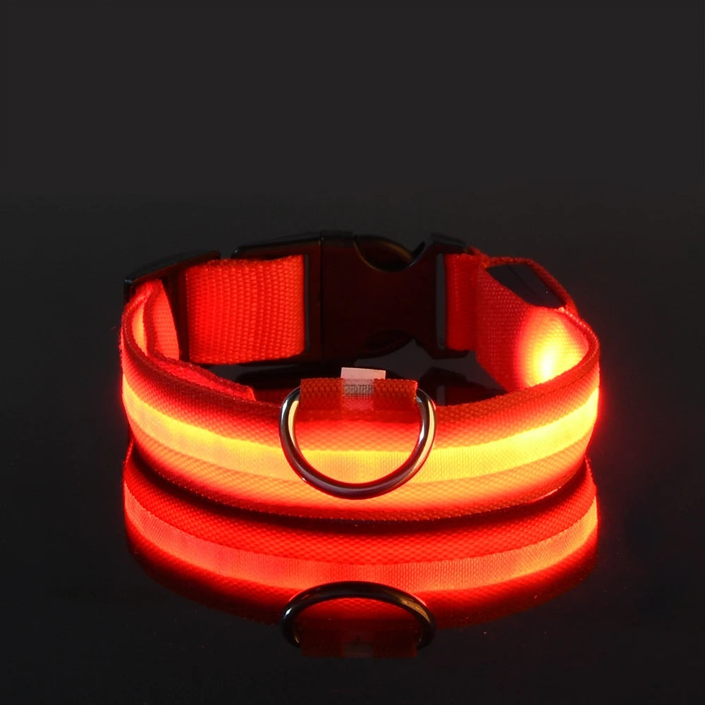 LED Glow Safety Dog Collar