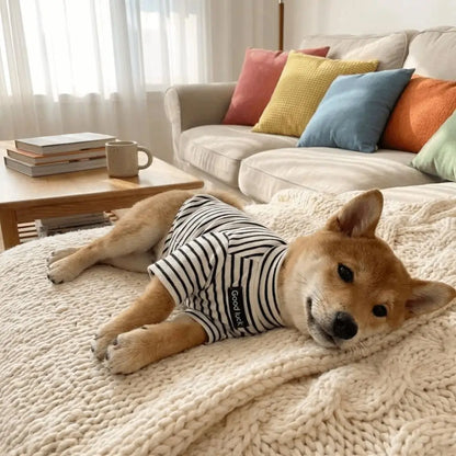 Parisian Style for Modern Pets