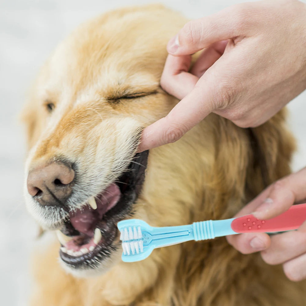 Three Sided Pet Toothbrush