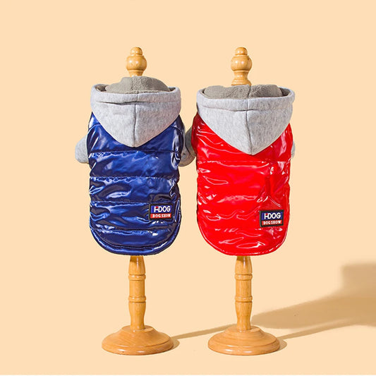 Pet cat and dog winter jacket
