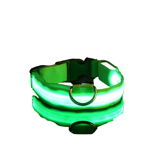 LED Glow Safety Dog Collar