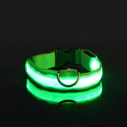 LED Glow Safety Dog Collar