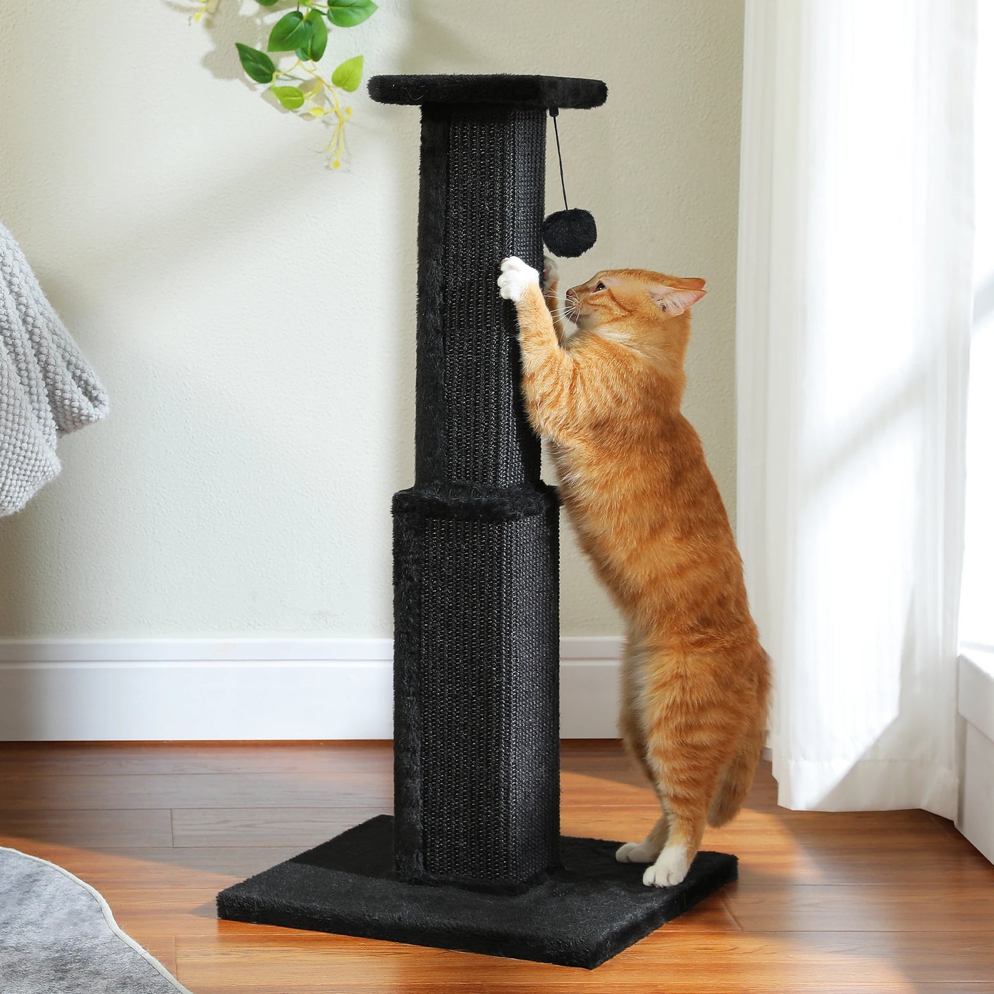 Large Indoor Cat Scratching Post