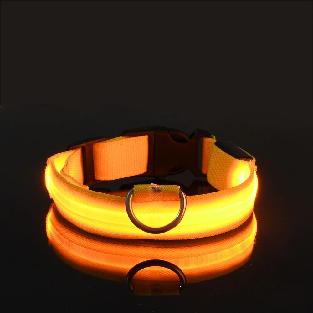 LED Glow Safety Dog Collar