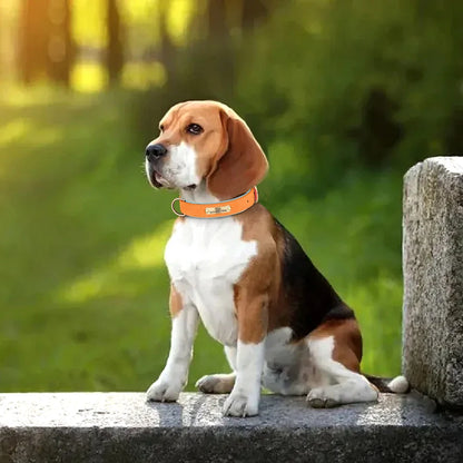 Personalized PU Leather Dog ID Collar