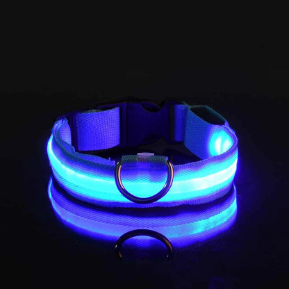 LED Glow Safety Dog Collar
