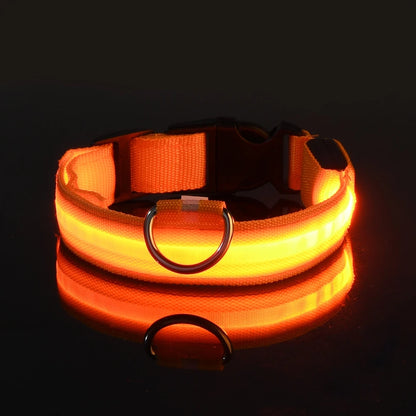 LED Glow Safety Dog Collar