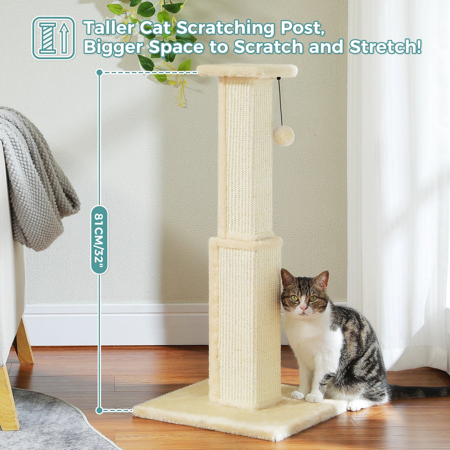Large Indoor Cat Scratching Post