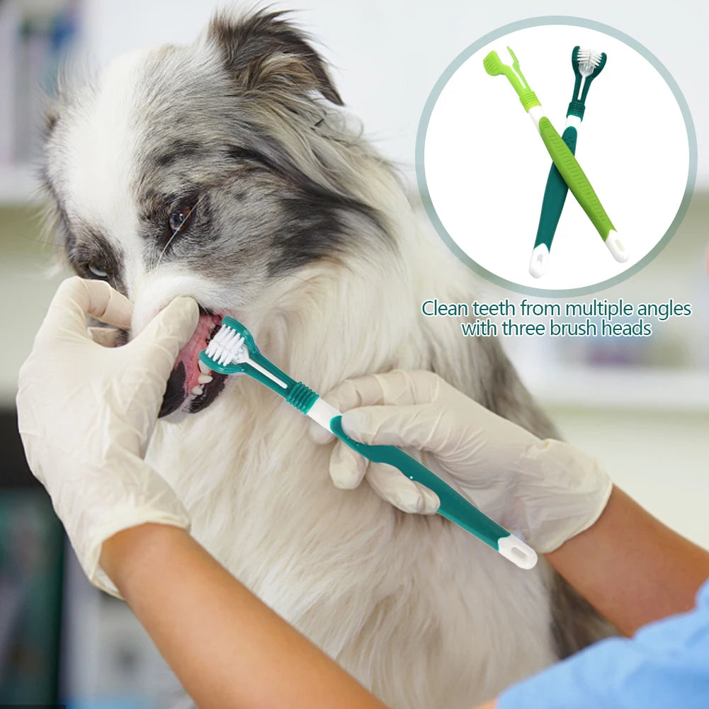 Three Sided Pet Toothbrush