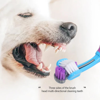 Three Sided Pet Toothbrush