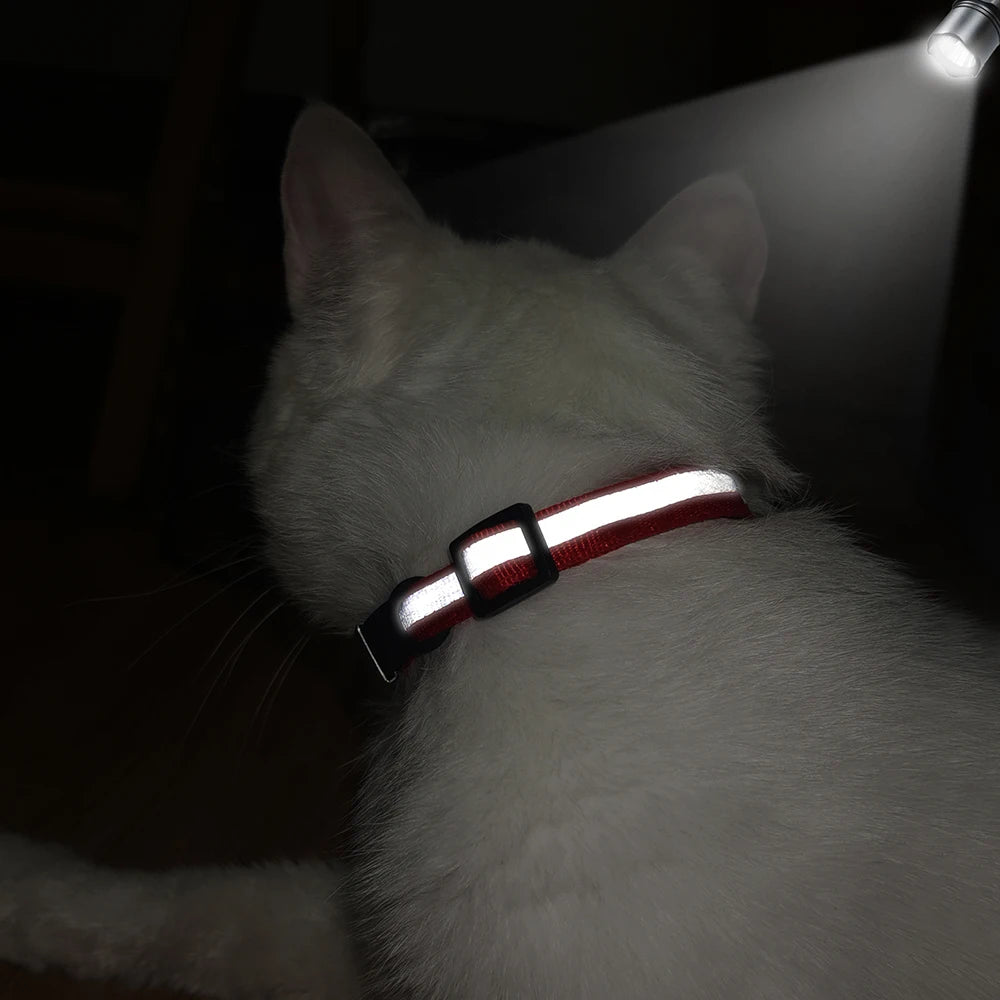 Personalized Reflective Cat ID Collar