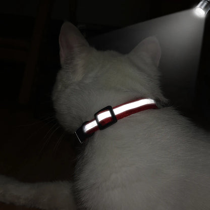 Personalized Reflective Cat ID Collar