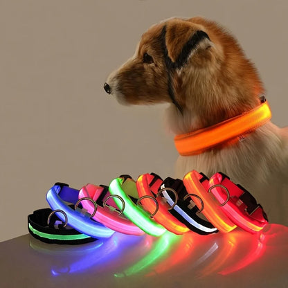 LED Glow Safety Dog Collar