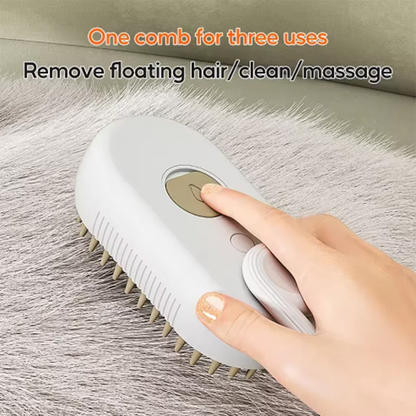 Steam Spray Massage Grooming Brush