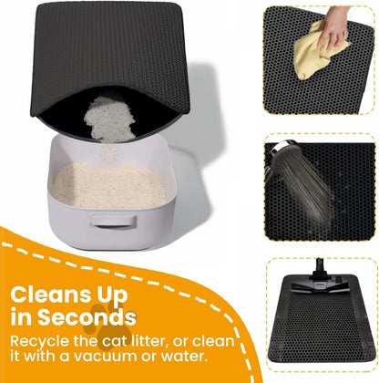 Double-Layer Cat Litter Mat