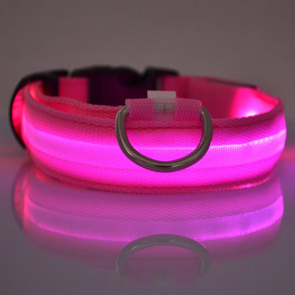 LED Glow Safety Dog Collar