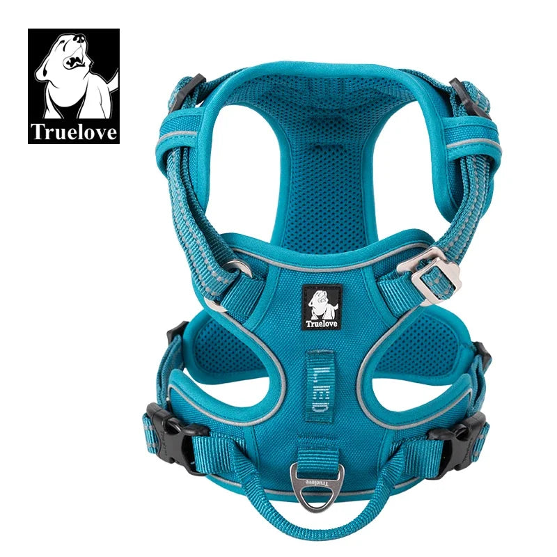 Le Marais Harness - Urban Walks, Paris Style