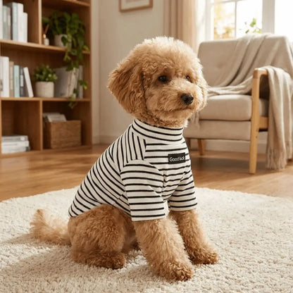 Parisian Style for Modern Pets
