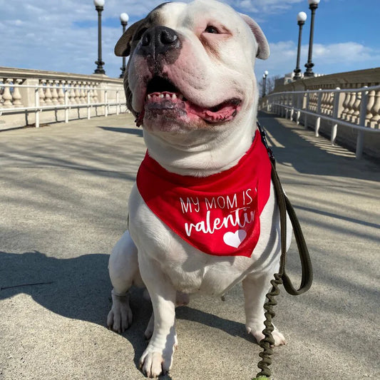 My Mum or My Dad is my valentine  