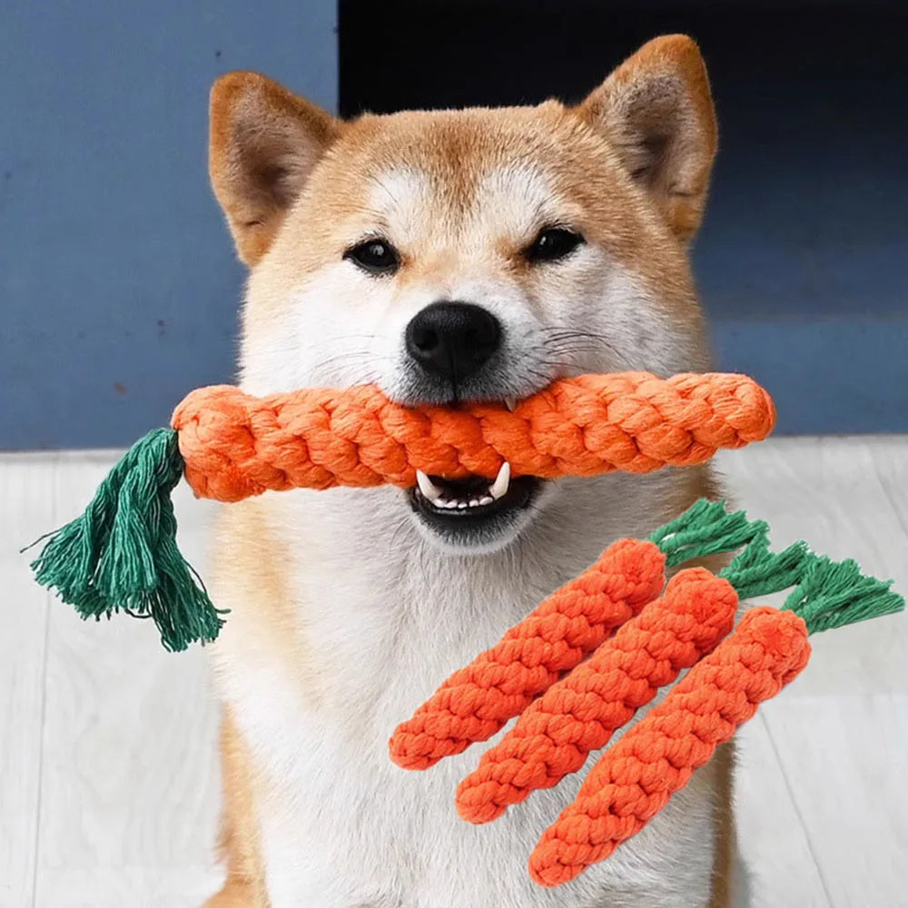 Carrot Rope Chew Toy for Dogs