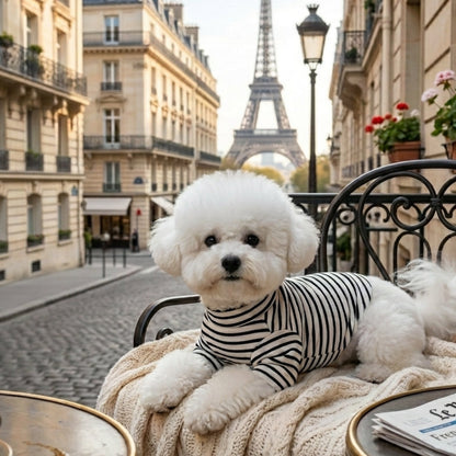 Parisian Style for Modern Pets